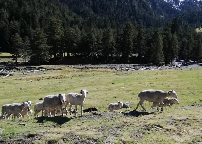 Cosy - Vue Montagne & Riviere - Balcon & Piscine L'ete